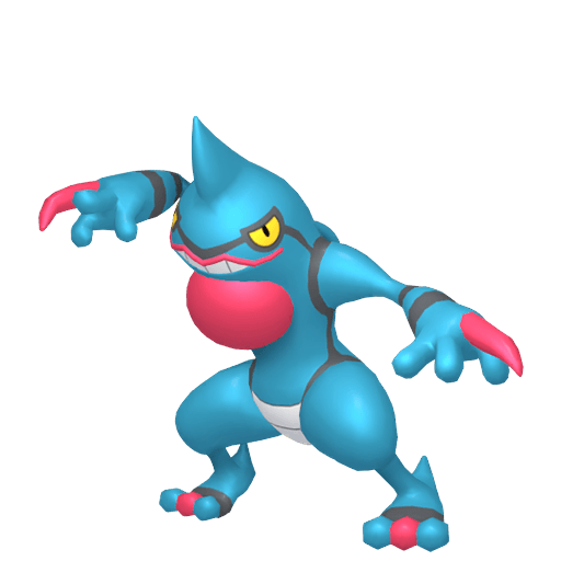 ドクロッグ メス