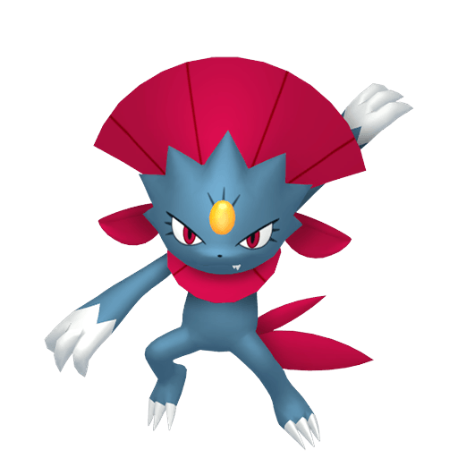 Weavile Femmina