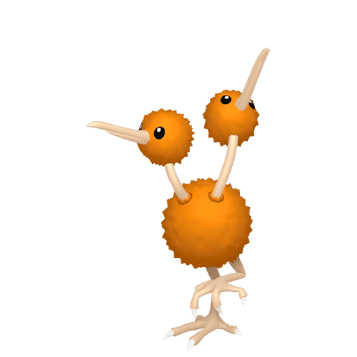Doduo Samice