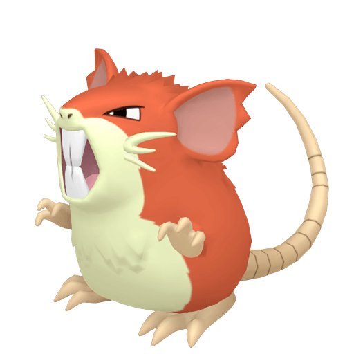 레트라 이로치 암컷