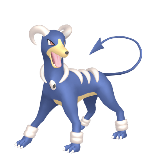 Démolosse Chromatique Femelle