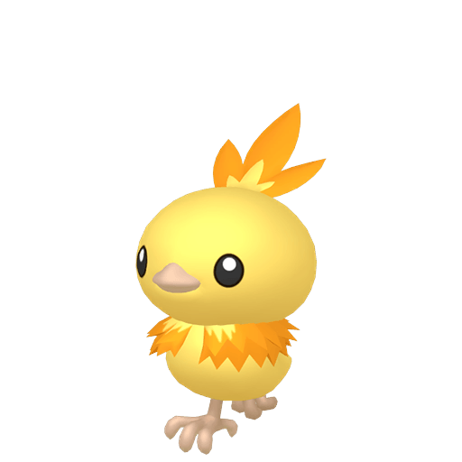 Torchic Shiny Female