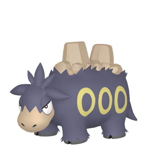 喷火驼 闪光 雌性