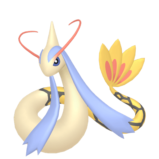 美纳斯 闪光 雌性