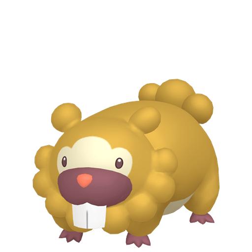 Bidoof Cromatico Femmina