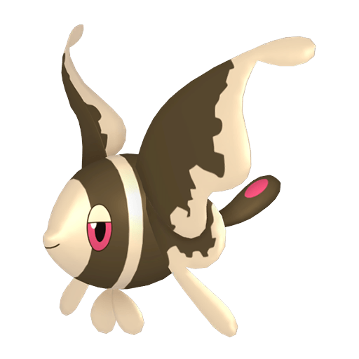 Lumineon Cromatico Femmina