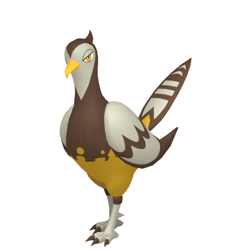 Unfezant Cromatico Femmina