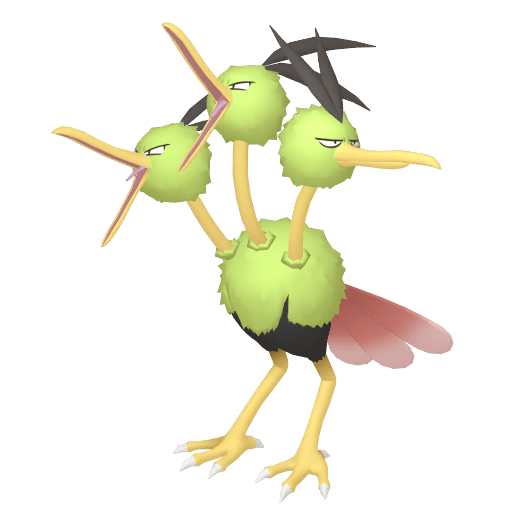 Dodrio Variocolor Hembra