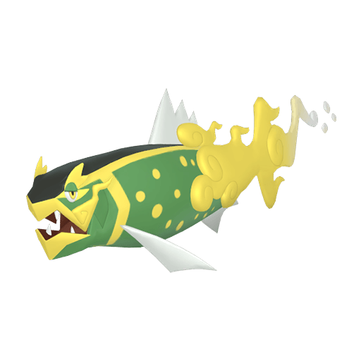 幽尾玄魚 異色 雌性