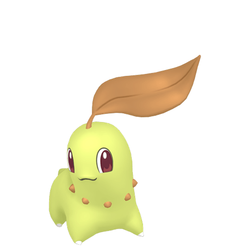 Chikorita Lesklý