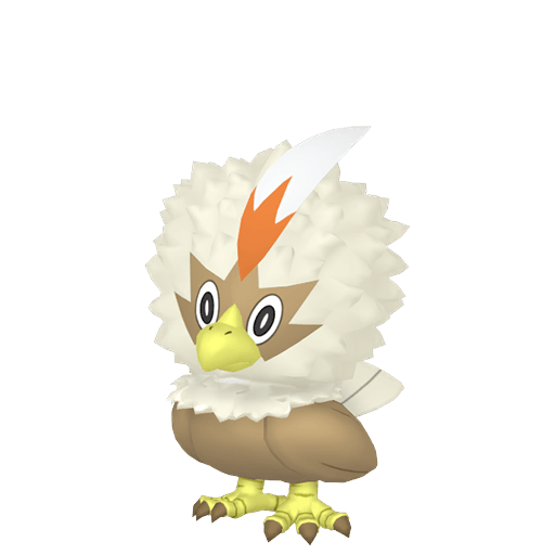 Rufflet Cromatico