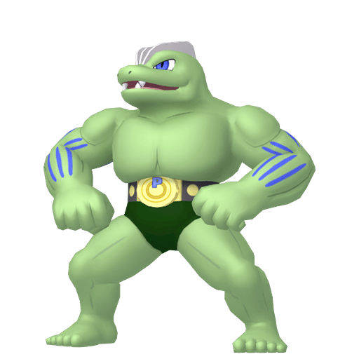 Machoke Variocolor
