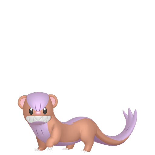 ヤングース 色違い