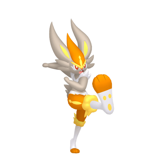 エースバーン 色違い