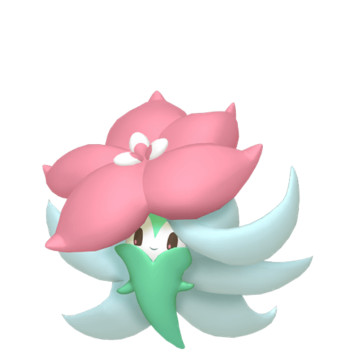 ヒメンカ 色違い