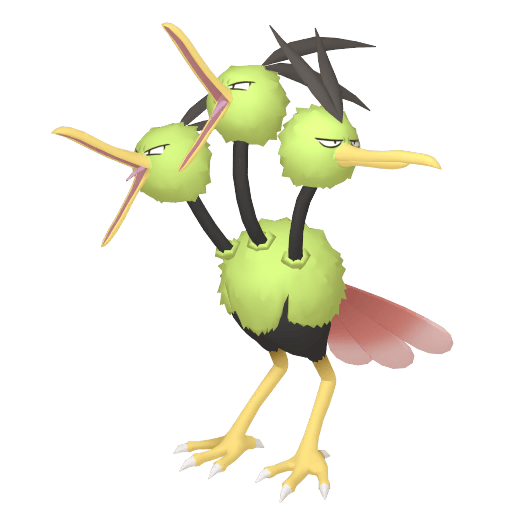 Dodrio Variocolor