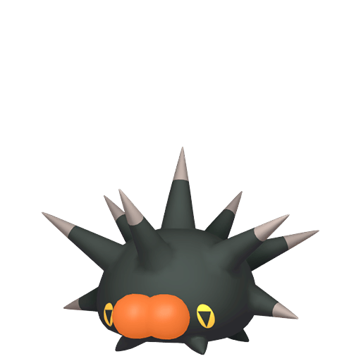 Pincurchin Cromatico