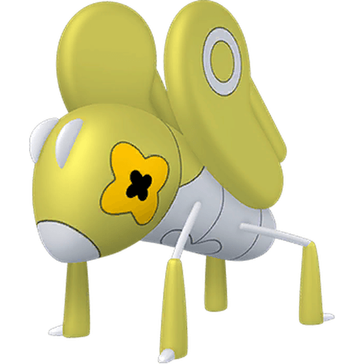 콩알뚜기 이로치