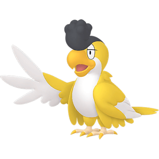 Squawkabilly Squawkabilly Yellow Plumage