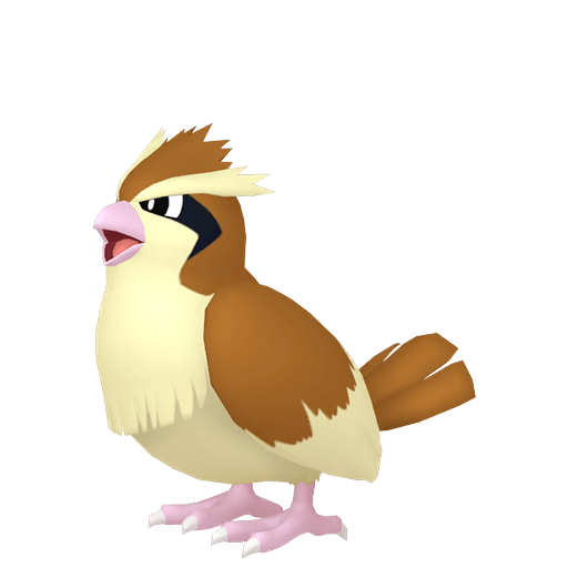 Pidgey Male