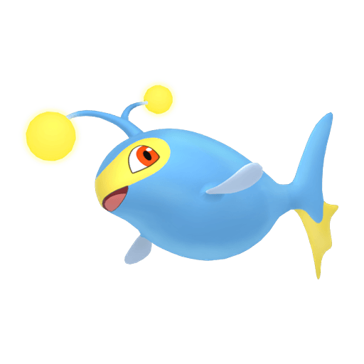 ランターン オス