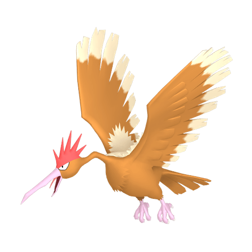 Fearow Maschio