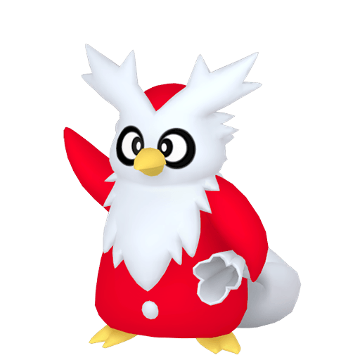 Delibird Samec