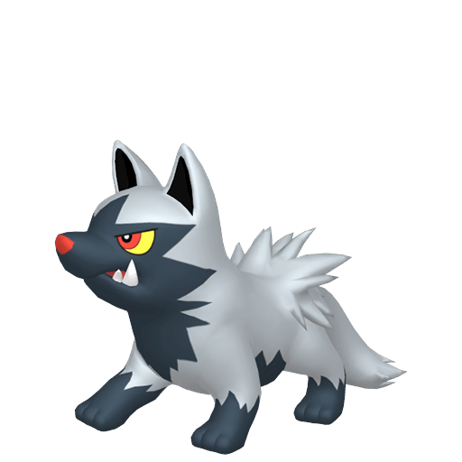 Poochyena Maschio