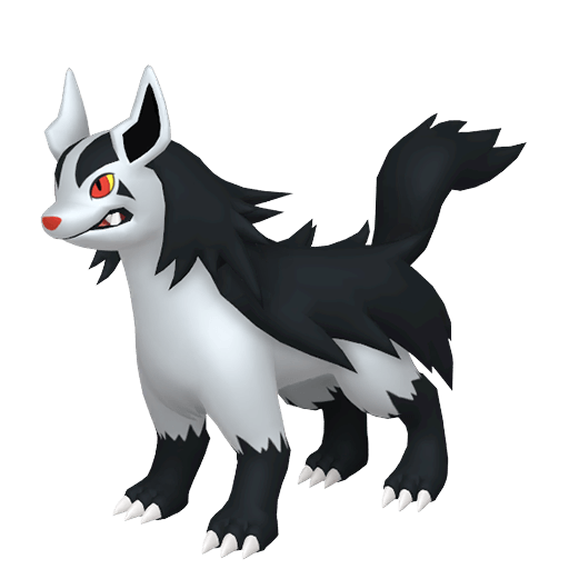 Mightyena Maschio
