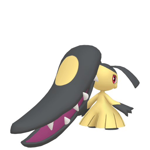 Mawile Maschio
