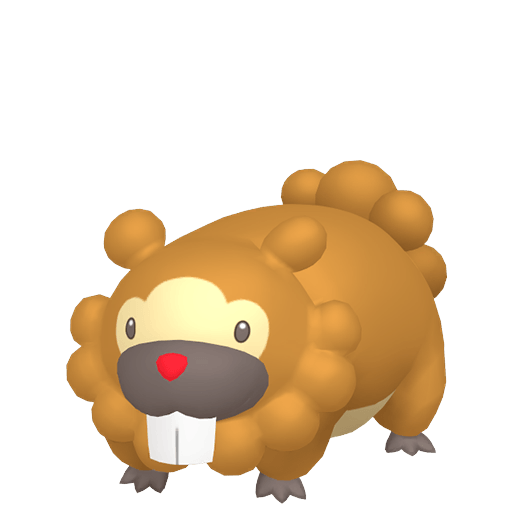 Bidoof Maschio