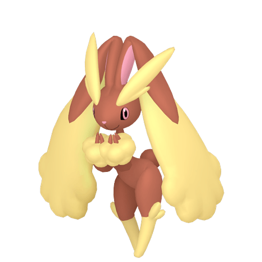 Lopunny Macho