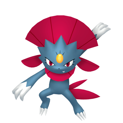Weavile Maschio