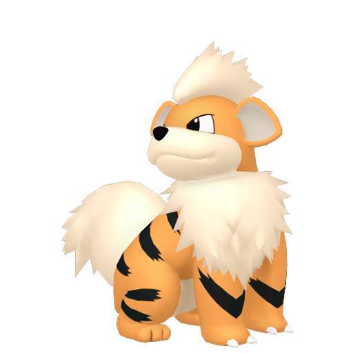 Growlithe Male