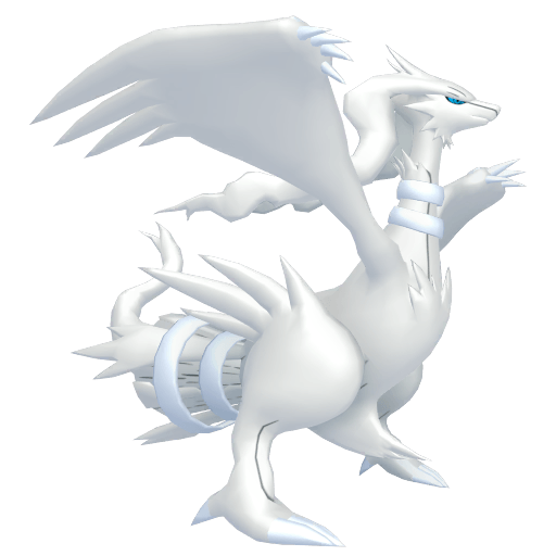Reshiram Maschio