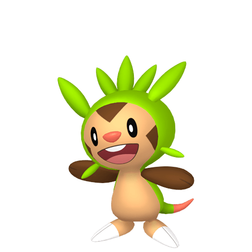 Chespin Male