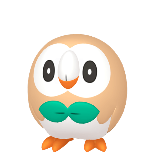 Rowlet Maschio