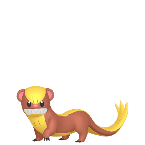 ヤングース オス