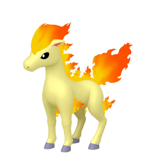 Ponyta Samec