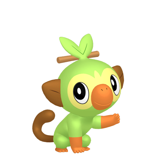 Grookey Maschio