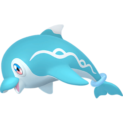 ナミイルカ オス