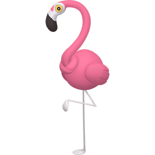 カラミンゴ オス